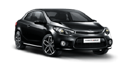 Cerato